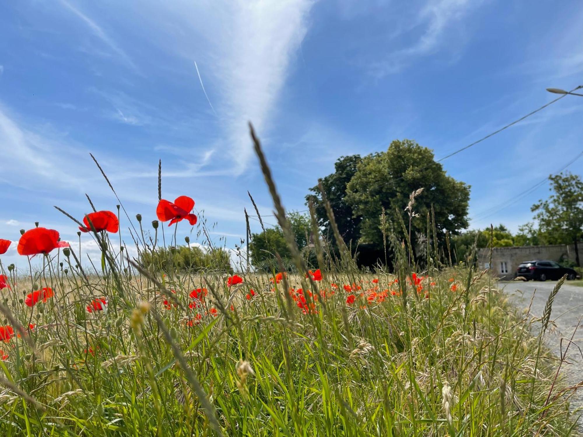 Bed and Breakfast Logis Saint Leonard Dompierre-sur-Mer Exterior foto